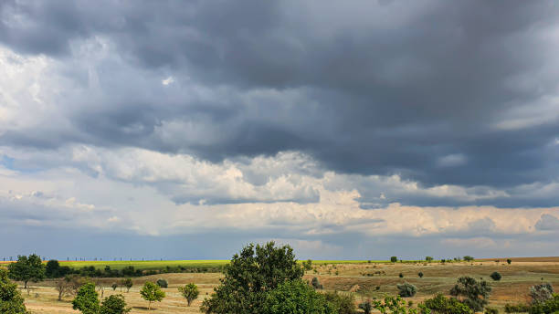 istock Dark sky over a yellow field. A thunderstorm is coming. A natural phenomenon. 1333598528