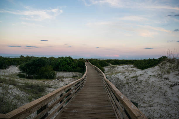 istock Cumberland Island 1333600670