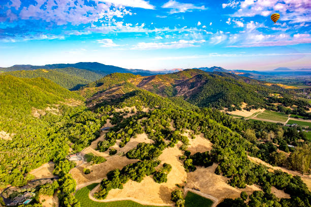 hot air ballooning over napa valley, ca - hot air balloon california napa napa valley imagens e fotografias de stock