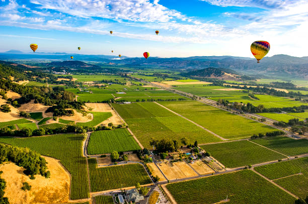 montgolfière au-dessus de napa valley, californie - aerial view mid air farm field photos et images de collection