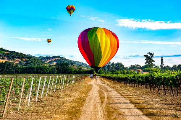 ナパバレー、caの上の熱気球 - hot air balloon california napa napa valley ストックフォトと画像