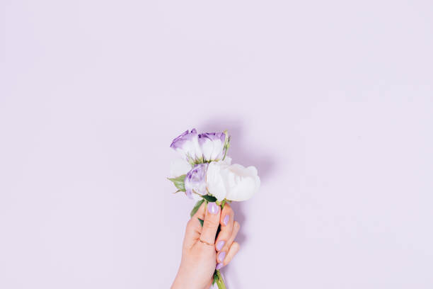 istock Bouquet fresh eustoma and white peony flowers in female hand 1333603873