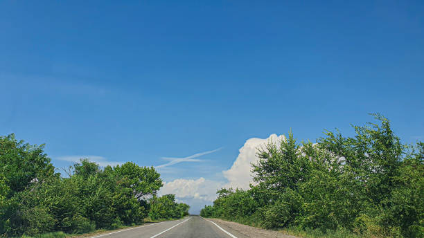 istock Blue sky with clouds, flying birds and green branches. Summer nature. Road. 1333605599