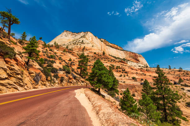 istock zion national park, utah, us 1333609217