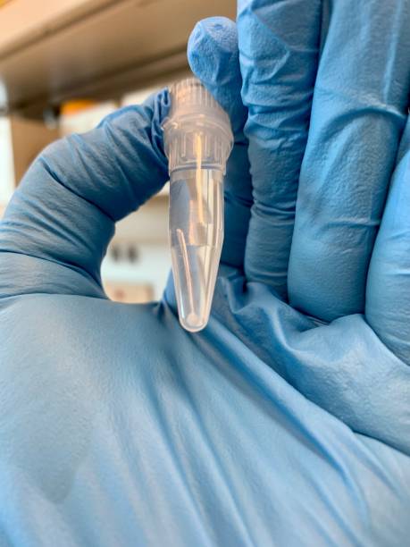 Pro Phageのストックフォト