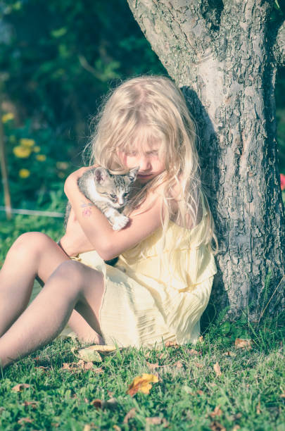 istock child and domestic cat together 1333612026