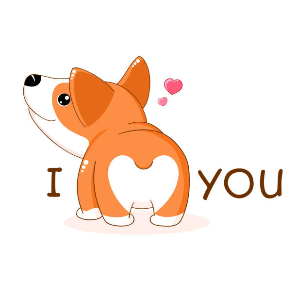 illustrations, cliparts, dessins animés et icônes de drôle de carte de saint-valentin. coeur mignon sur les fesses de corgi - valentines day friendship puppy small