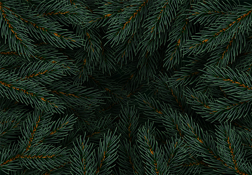Christmas tree branches. Festive Xmas border of green branch of pine. Pattern pine branches, spruce branch. Realistic design decoration elements. Vector illustration