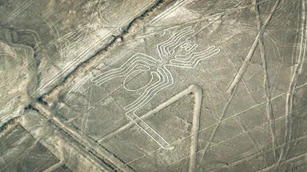 Nazca lines representing a spider geoglyph. Nazca lines as seen from the aircraft. Nazca lines are landmarks of Peru