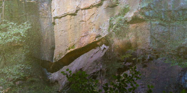 riflesso astratto di rocce e foglie in acqua calma - cave fern flowing forest foto e immagini stock