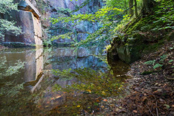 riflesso di alberi e rocce in acqua calma di una cava - cave fern flowing forest foto e immagini stock