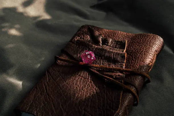 Image of a transparent pink 20-sided die on top of a brown leather-bound book partially lit by sunlight