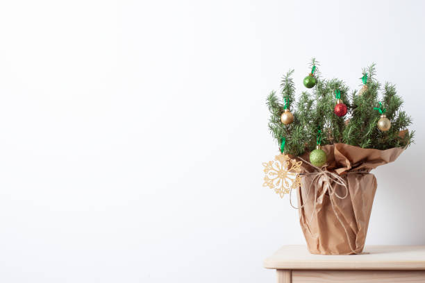 istock Zero waste Christmas natural decoration with rosemary as alternative Christmas tree on white background. Close up, copy space 1333621732