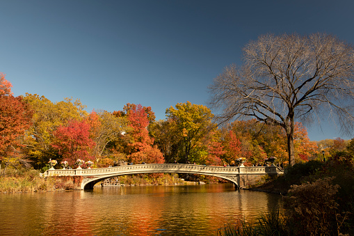 Bow Bridge during autumn season in Central Park.