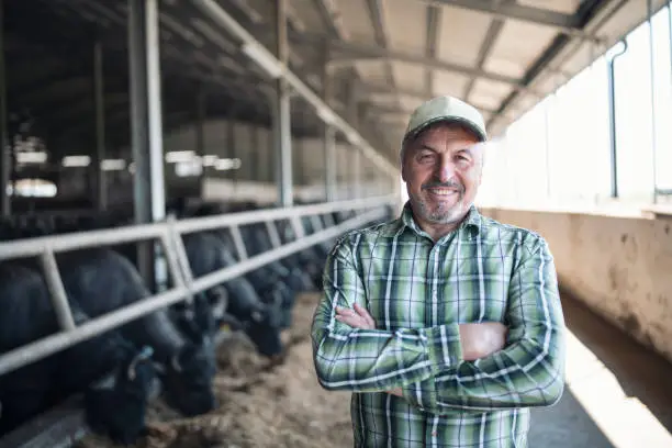 Photo of Portrait of senior farmer smiling in buffalo farm