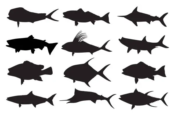 Vector illustration of Fish Silhouettes