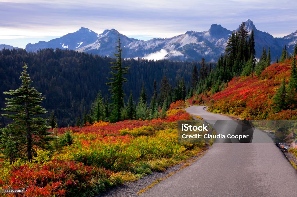 Beautiful autumn colors at Mt. Rainier National Park in Washington state Footpath Stock Photo
