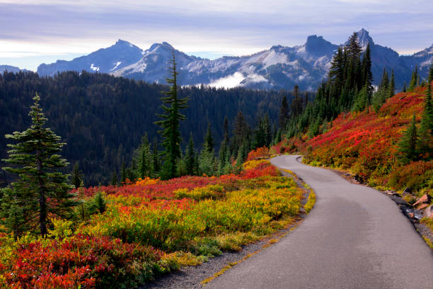 Beautiful autumn colors at Mt. Rainier National Park in Washington state Beautiful autumn colors at Mt. Rainier National Park in Washington state pacific northwest photos stock pictures, royalty-free photos & images