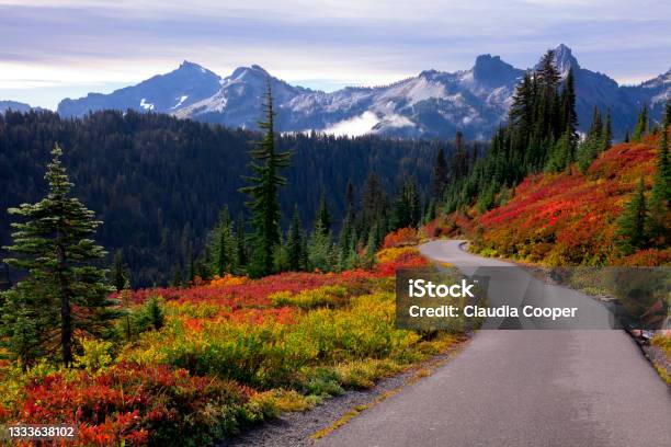 Beautiful Autumn Colors At Mt Rainier National Park In Washington State Stock Photo - Download Image Now