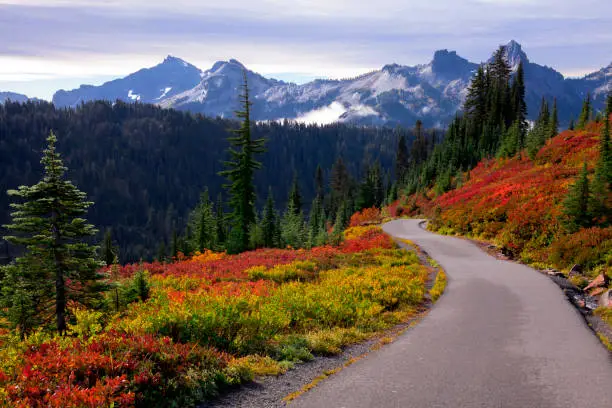 Photo of Beautiful autumn colors at Mt. Rainier National Park in Washington state