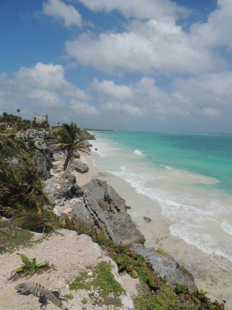 istock The Sea at Tulum 1333643041
