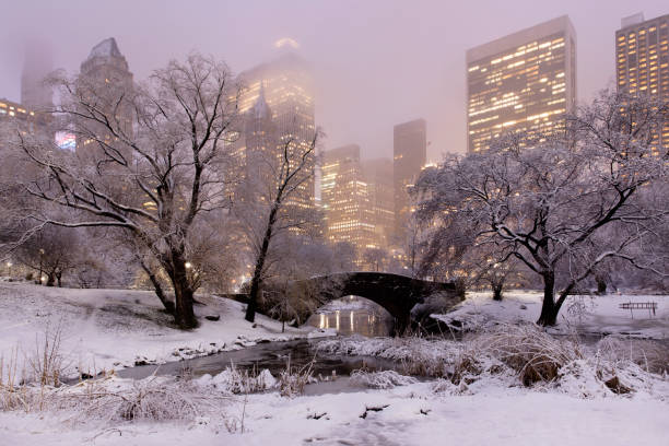 Central Park Winter Skyline stock photo