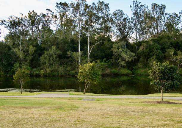istock Colleges Crossing Reserve, Queensland 1333649037