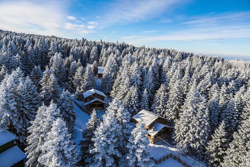 The banner mountain view of alpine as snow-capped mount peaks scene  in Winter mountains background