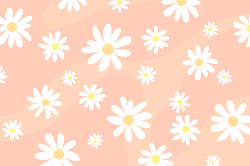 Vector pattern illusration white daisy flowers on a pink background. EPS10.