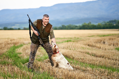 Man hunting with foxhound dog