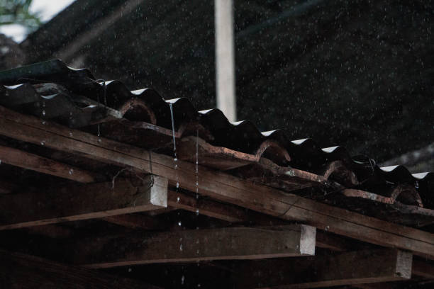 istock Metal Roof on Rainy Day 1333656906