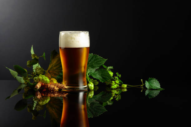 istock Beer, hops, and barley on a black background. 1333661656