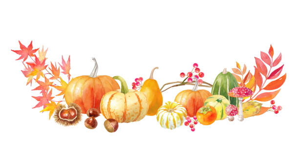 Decorative watercolor illustrations for Thanksgiving Day and Halloween. Frame design. Harvesting pumpkins, chestnuts and persimmons. (Vector data) Decorative watercolor illustrations for Thanksgiving Day and Halloween. Frame design. Harvesting pumpkins, chestnuts and persimmons. (Vector data). The layout can be changed. intercalated disc stock illustrations