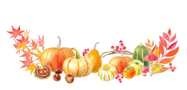 istock Decorative watercolor illustrations for Thanksgiving Day and Halloween. Frame design. Harvesting pumpkins, chestnuts and persimmons. 1333674299