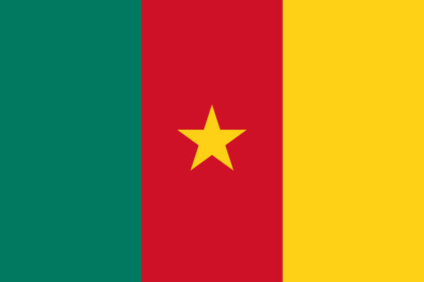 ilustraciones, imágenes clip art, dibujos animados e iconos de stock de bandera nacional de camerún tamaño original y colores ilustración vectorial, bandera camerunesa o drapeau du cameroun tienen la estrella de la unidad, colores panafricanos república de camerún bandera - du