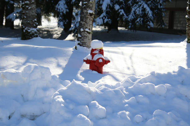 A red fire hydrant partially buried in snow on a sunny winter day with trees in the background