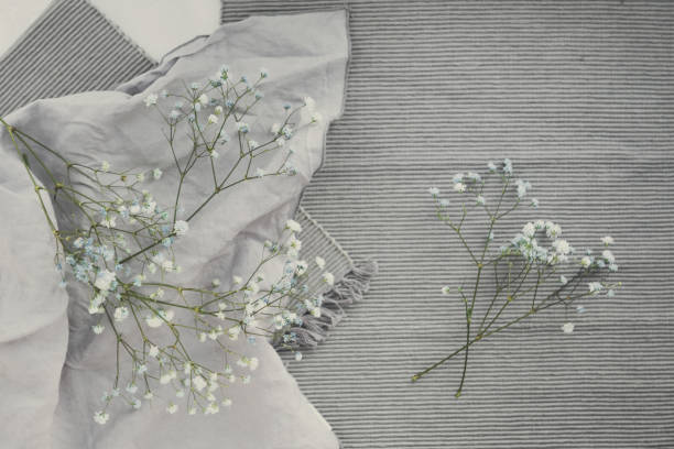 istock gypsophila flowers 1333686026