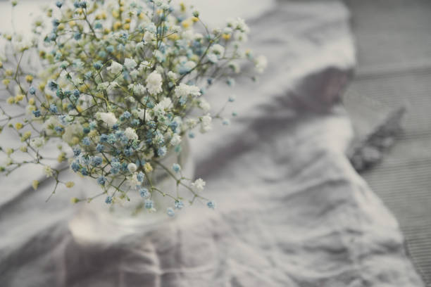 istock gypsophila flowers 1333686034