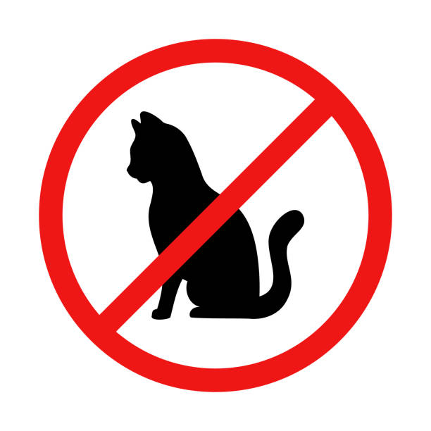 ilustrações de stock, clip art, desenhos animados e ícones de vector no cat sign illustration - silhouette animal black domestic cat