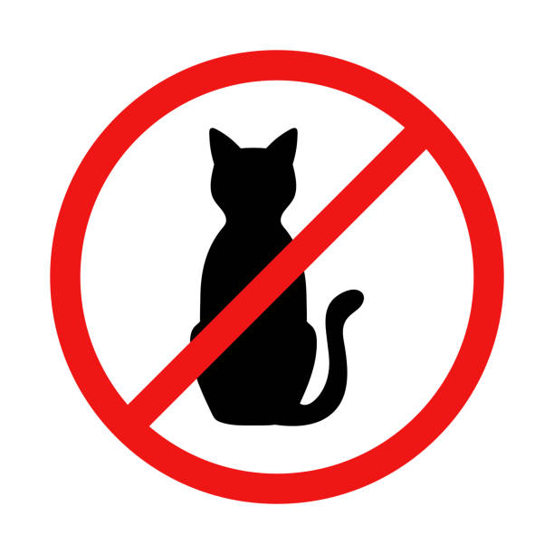 ilustrações de stock, clip art, desenhos animados e ícones de vector no cat sign illustration - silhouette animal black domestic cat