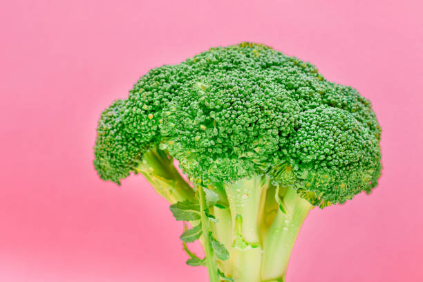 istock Fresh and Raw Broccoli Against the Pink Background. Uncooked Green Cabbage 1333686674