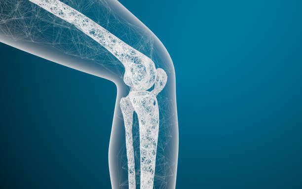 beinknochen und knie, 3d-rendering. - osteoporose stock-fotos und bilder