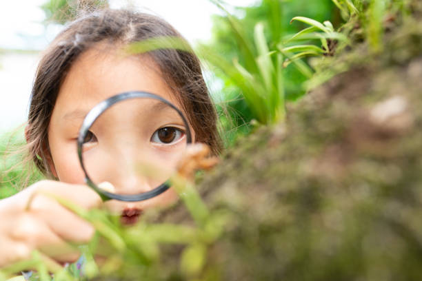 istock A girl looks at a cicada shell with a magnifying glass 1333693894