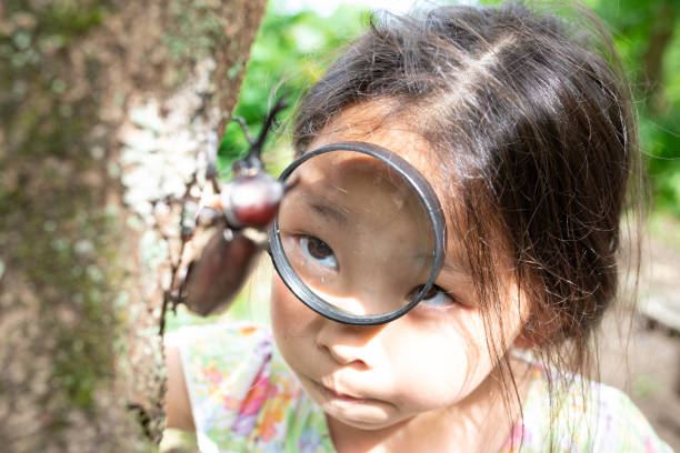 istock Girl sees a beetle with a magnifying glass 1333693971