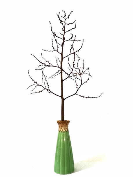 istock Branches. Dry twigs. Vase Isolated on white background. 1333693992