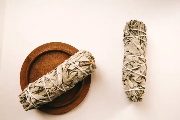 Photo of Natural incense White Sage and Palo Santo. Sacred tree of South America, color square photo.White Sage and Palo Santo on white background.