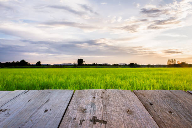 istock Wooden floor foreground. 1333699861