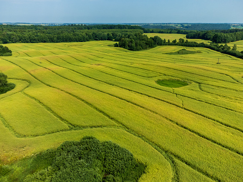 aerial view of green field with parallel lines