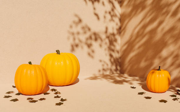 autumn background for product display