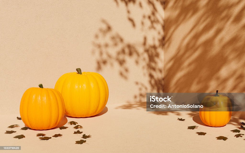 autumn background for product display corner with tree shade and pumpkins for product display. autumn scene. 3d rendering Autumn Stock Photo